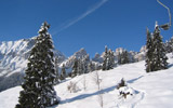Dolomiti Paganella. Una Montagna di eventi per tutti | Andalo, Dolomiti del  Brenta,  Trentino