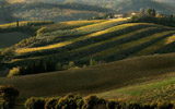 Il paesaggio del Chianti, territorio vinicolo tra i più prestigiosi del mondo