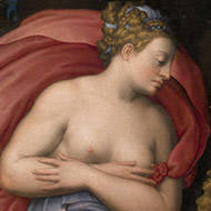 Giorgio Vasari e l'Allegoria della Pazienza, Firenze, Palazzo Pitti, Galleria Palatina, > 5 gennaio 2014